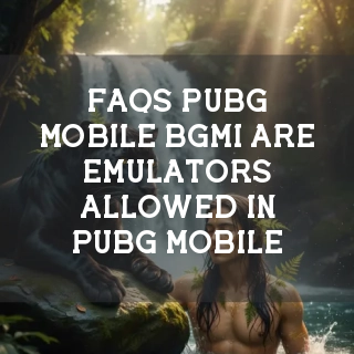 PUBG Mobile & BGMI FAQs Banner