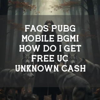 PUBG Mobile & BGMI FAQs Banner